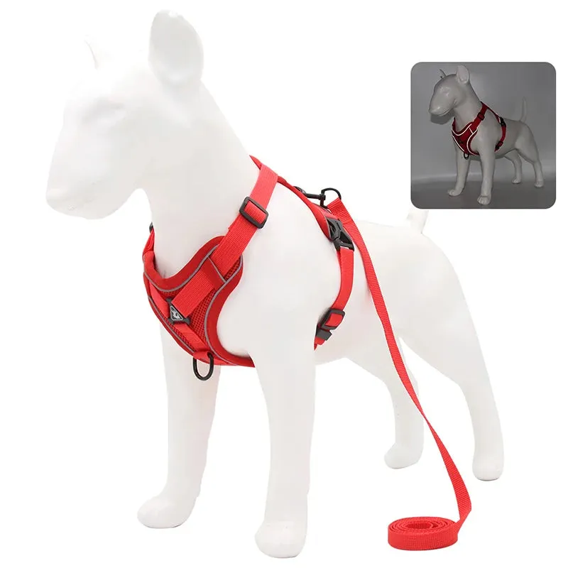 Dog Harness Leash Set - Adjustable Reflective Pet Chest Strap for Small & Medium Dogs, Cats, Puppies, French Bulldog, Yorkie