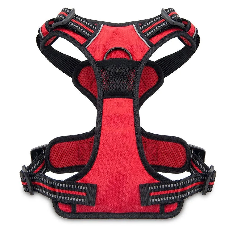 Independence Dual-Attachment Dog Harness