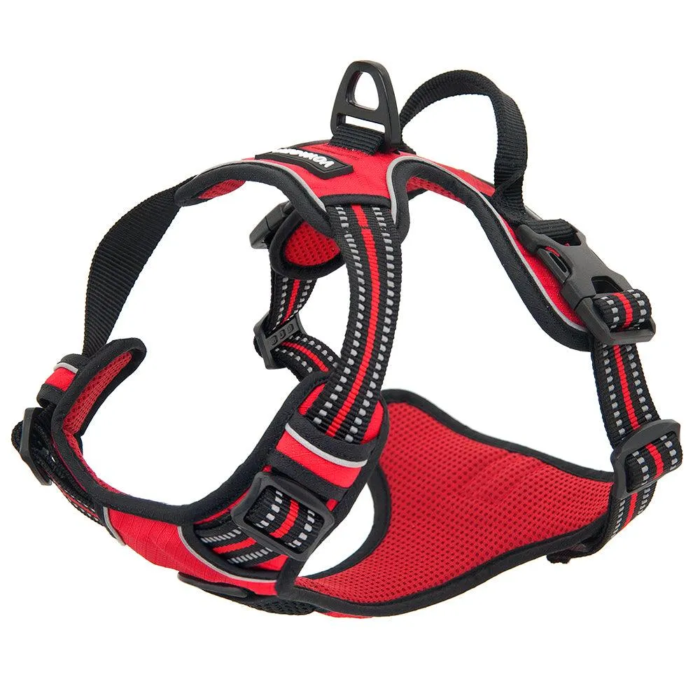 Independence Dual-Attachment Dog Harness