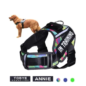 Personalized Adjustable Dog Harness