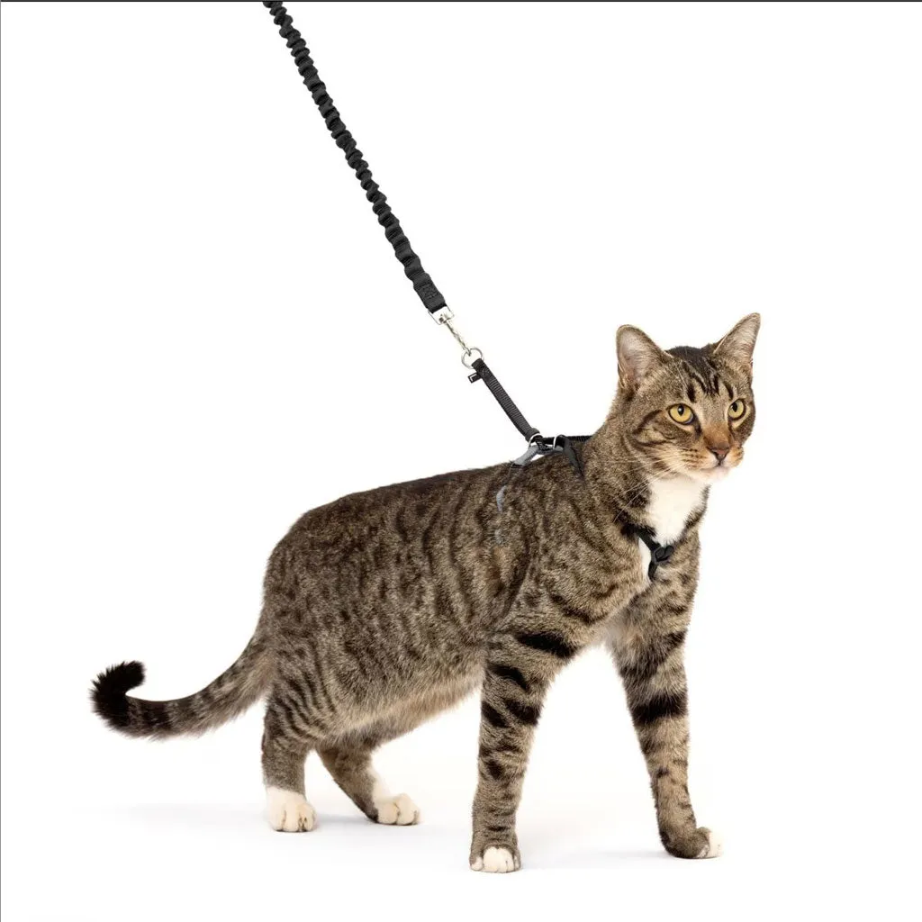PetSafe Come with Me Kitty Nylon Harness & Bungee Leash for Cats, Dusty Rose/Burgundy