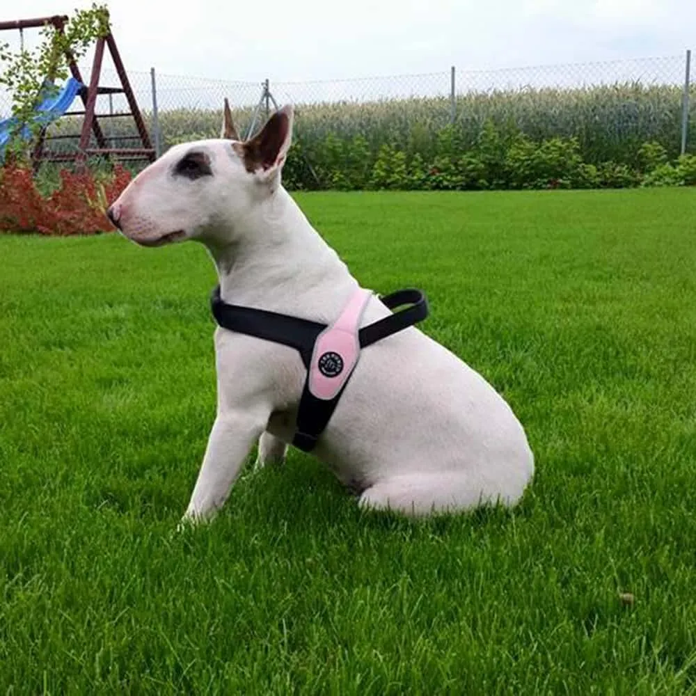 Primo