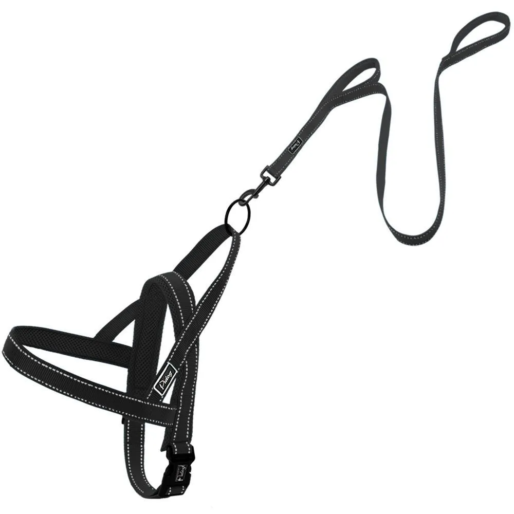 Reflective Dog Harness Set