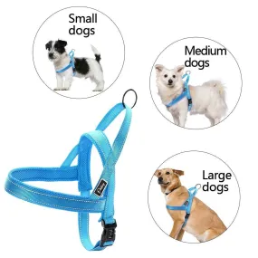 Reflective Dog Harness Set