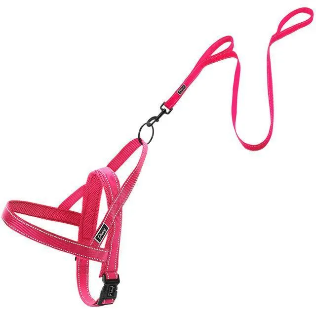 Reflective Dog Harness Set
