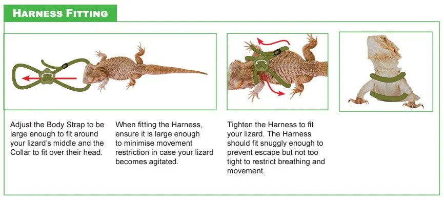 Reptile One Lizard Harness & Lead Adjustable