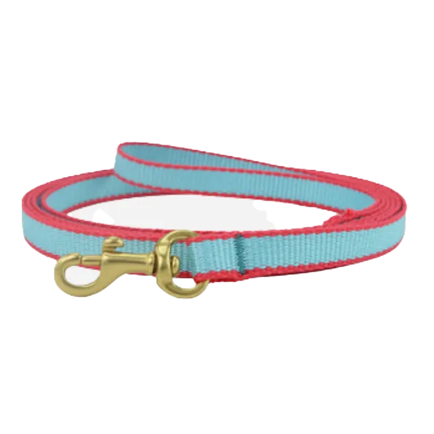 Teacup Leash | Aqua & Coral